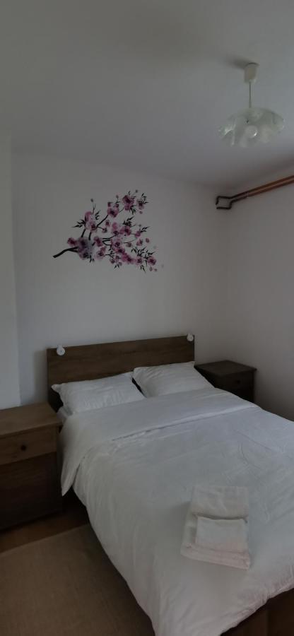 Apartman Deda ราโควิซา ภายนอก รูปภาพ