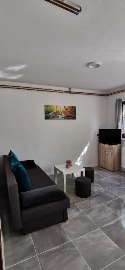 Apartman Deda ราโควิซา ภายนอก รูปภาพ