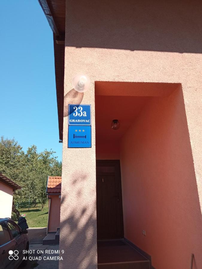 Apartman Deda ราโควิซา ภายนอก รูปภาพ