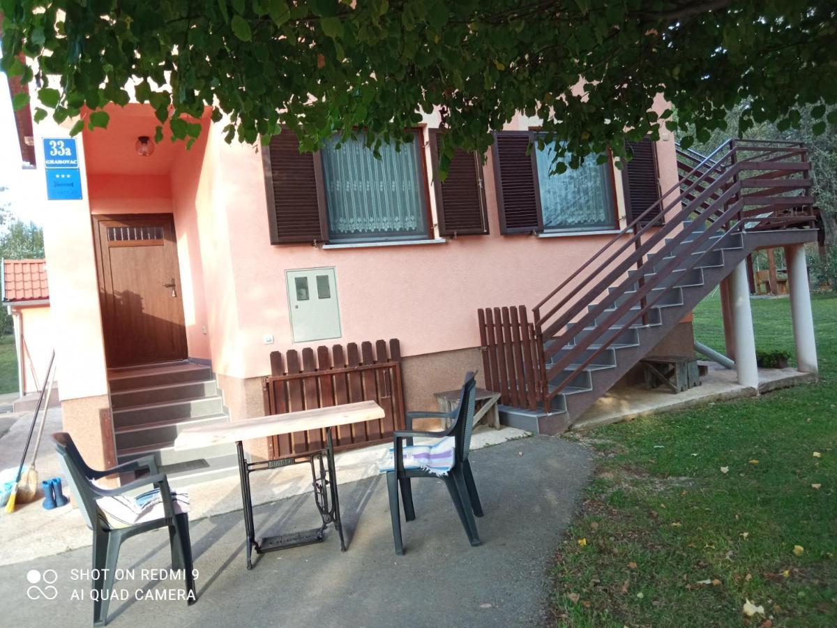 Apartman Deda ราโควิซา ภายนอก รูปภาพ